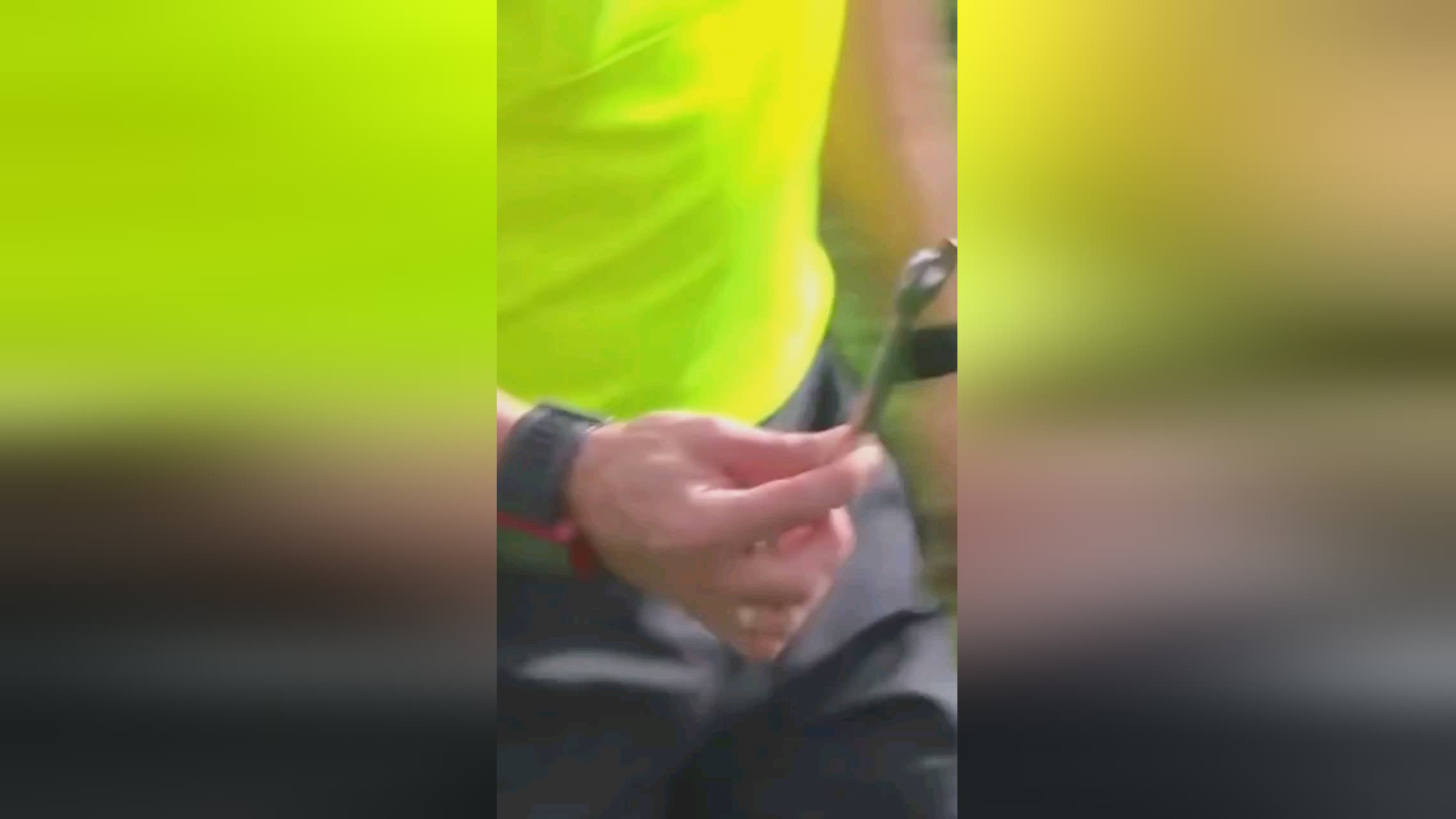 的竞争